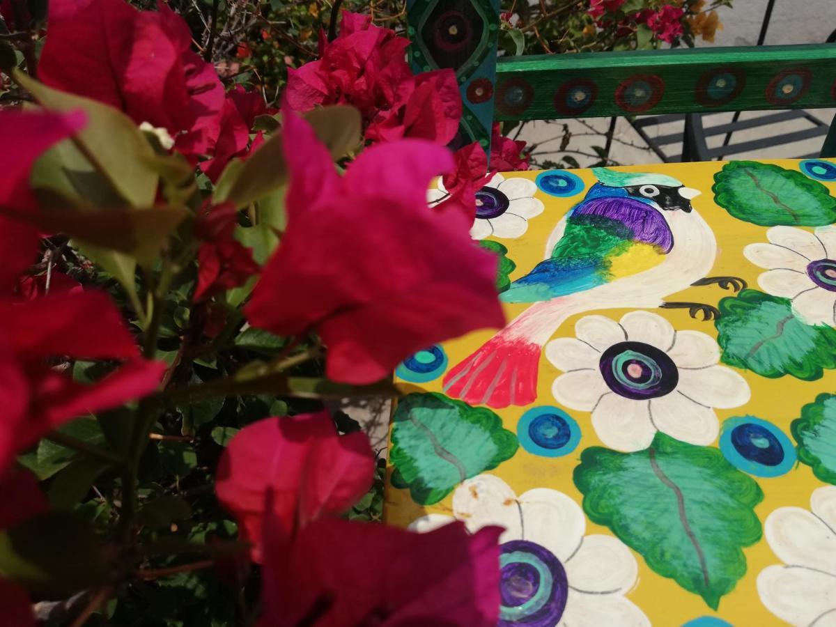 Yellow House Hostel B&B Antigua Ngoại thất bức ảnh