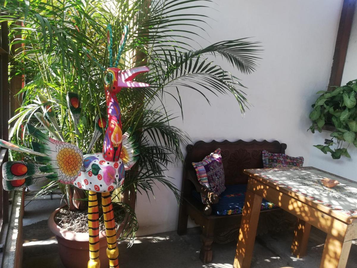 Yellow House Hostel B&B Antigua Ngoại thất bức ảnh